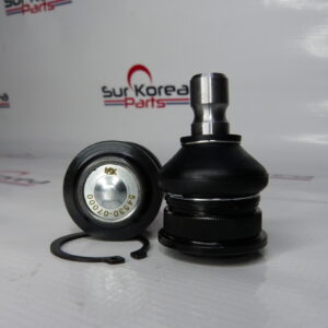 54530-07000 MUÑON PICANTO